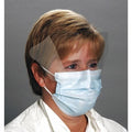 Disposable Face Mask, Blue, Universal, 100 PK