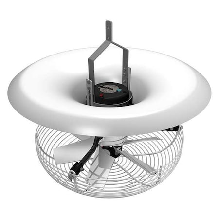 Vertical Recirculation Fan, 16 in Blade Dia, 8 Blades, Variable Speeds, 120V AC