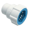 Adapter, 3/4 in. MPT, 150 psi
