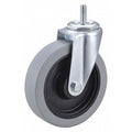 Stem Caster, 5 in Dia, Polyurethane, 300lb