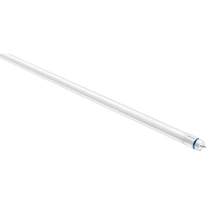 Linear LED Bulb, Med Bi-Pin (G13), T8,1PK