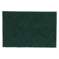 General Purpose Scouring Pad, PK10
