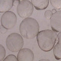 Blast Media, Glass Beads, 50 to 80 Grit