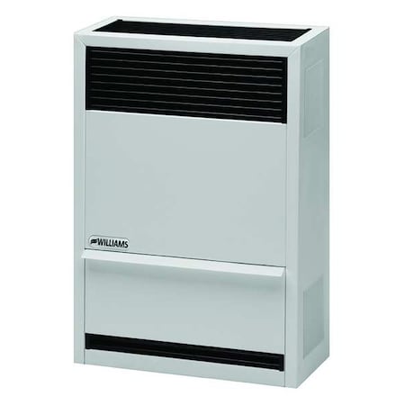 Surface-Mount Gas Wall Heater, Propane, Direct Vent Vent Type, Gravity Convection