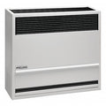 Surface-Mount Gas Wall Heater, Propane, Direct Vent Vent Type, Gravity Convection