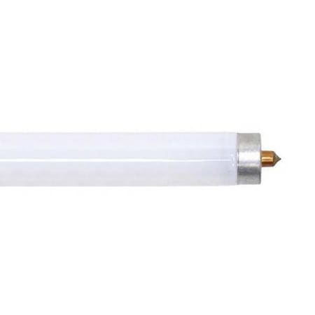 Fluorescent Linear Lamp, T8, Cool, 4100K