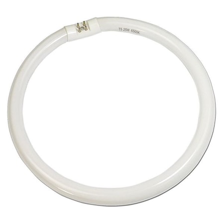 Replacement Lamp