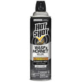 14 oz Aerosol Wasp and Hornet Killer, DEET-Free, Outdoor Use
