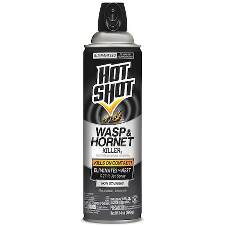 14 oz Aerosol Wasp and Hornet Killer, DEET-Free, Outdoor Use