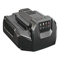 Battery Charger, 120V AC, (1) 56V