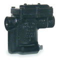 Steam Trap,450F,Cast Iron,0 to 30 psi