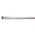 Fluorescent Linear Lamp, T8, Cool, 4100K