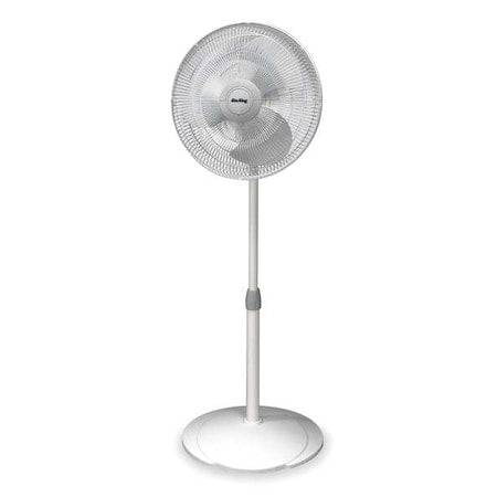16" Blade Dia Pedestal Fan, Oscillating, 3 Speeds, 120VAC, White with Gray Accents