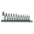 13 Piece 1/4", 3/8" & 1/2" Drive Tamper Proof Torx Bit Socket Set