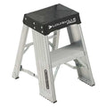 Step Stand, 2 Steps, 375 lb Load Capacity, 24 in Overall Height, Aluminum, Silver