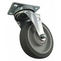Plate Caster, Light-Duty, 5" Wheel Dia.