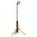 Temporary Job Site Light, 5300 lm, 14VDC