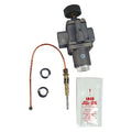 Valve,Pilot Safety Control,Mfr.No.22250