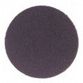 PSA Sanding Disc, Coated, 5" dia., Grit 100