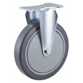 Plate Caster, 6" Wheel Dia., 150 lb. Load