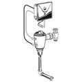 Urinal Automatic Flush Valve, 0.125 gpf gpf, Rough Brass, 3/4 in, 3/4 in Spud Coupling