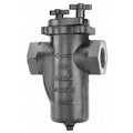 Basket Strainer, 3/4"" Pipe, Threaded, Cast iron, 200 psi at 150 Degrees F WOG