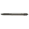 Taper Tap, Alloy Steel M6x1.0