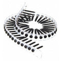 Drywall Screw, #7 x 1-5/64 in, Steel, Trim Head Square Drive, 4000 PK