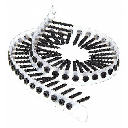 Drywall Screw, #7 x 1-5/64 in, Steel, Trim Head Square Drive, 4000 PK
