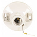 250 W, White, Medium Screw (E26)
