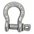 Shackle,5/8 in.,10,000 lb.,Screw Pin