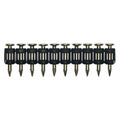Collated Concrete Nail, 3/4 in L, 12 ga, Zinc Galvanized, Flat Head, Straight, 1000 PK