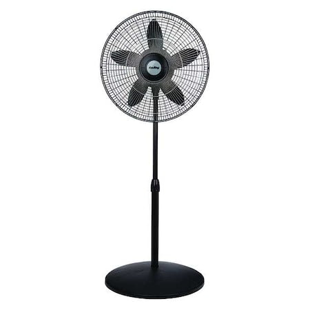 18" Blade Dia Pedestal Fan, Oscillating, 3 Speeds, 120VAC, Black