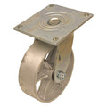 NSF-Listed Plate Caster, 1200 lb. Ld Rating, Roller