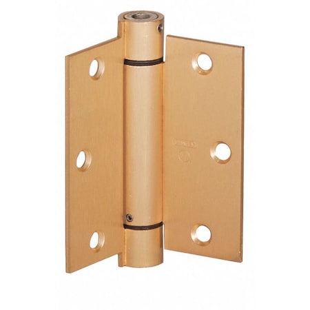 Spring Hinge,Steel,Door Leaf 1-3/8""W