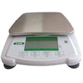 Digital Compact Bench Scale 600g Capacity