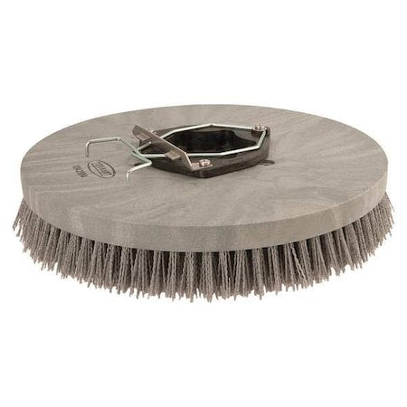 Brush, Disk HD Poly Scrub