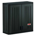 Wall Storage Cabinet, 30 in W x 12 in D x 30-1/4 in H, Resin, 1 Shelf