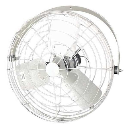 Corrosion Resistant Industrial Fan, Ceiling, IBeam, Wall Mount, 20 in Blade Dia, 115/230V