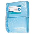 Disposable Underpads,23x24In,31 g,PK200