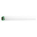 Alto Supreme Linear Fluorescent Tube Light Bulb, 8 ft. 75-Watt, T12, 4100K
