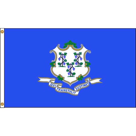 Connecticut Flag, 4x6 Ft, Nylon