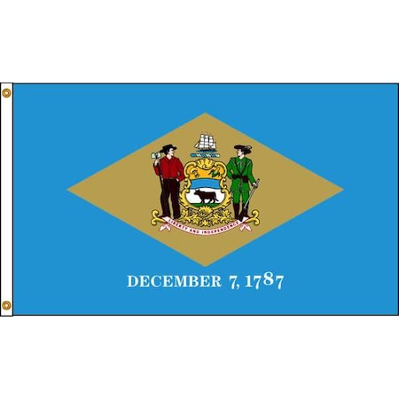 Delaware Flag,5x8 Ft,Nylon