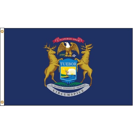 Michigan Flag, 4x6 Ft, Nylon