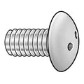 1/4"-20 x 1/2 in Spanner Truss Tamper Resistant Screw, Plain Finish, 18-8 Stainless Steel, 10 PK
