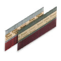 Collated Framing Nail, 3-1/4 in L, Not Applicable, Hot Dipped Galvanized, Flat Head, 30 Degrees