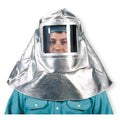 Replacement Face Shield, Clear Visor, Polycarbonate, clear