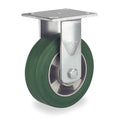 Plate Caster, Rigid, Rubber, 6 in., 660 lb.