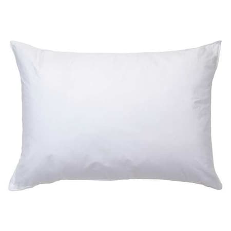 Pillow,King,20x36 In.,Pk6