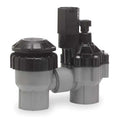 Valve, Antisiphon, 3/4in